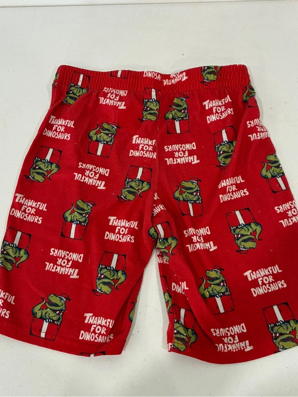 Cat & Jack Boys Size L 12/14 Red Thankful For Dinosaurs Christmas Pj Sleep Short